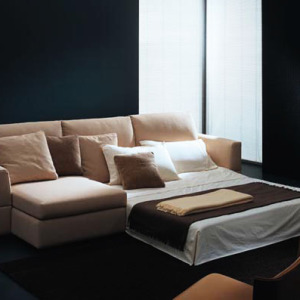 Sectinal Sofa Bed